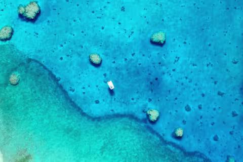 Recifs de l'Astrolabe — Coral Sea Natural Park, New Caledonia