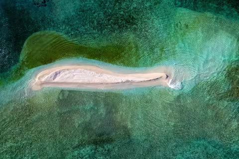 Recifs de l'Astrolabe — Coral Sea Natural Park, New Caledonia