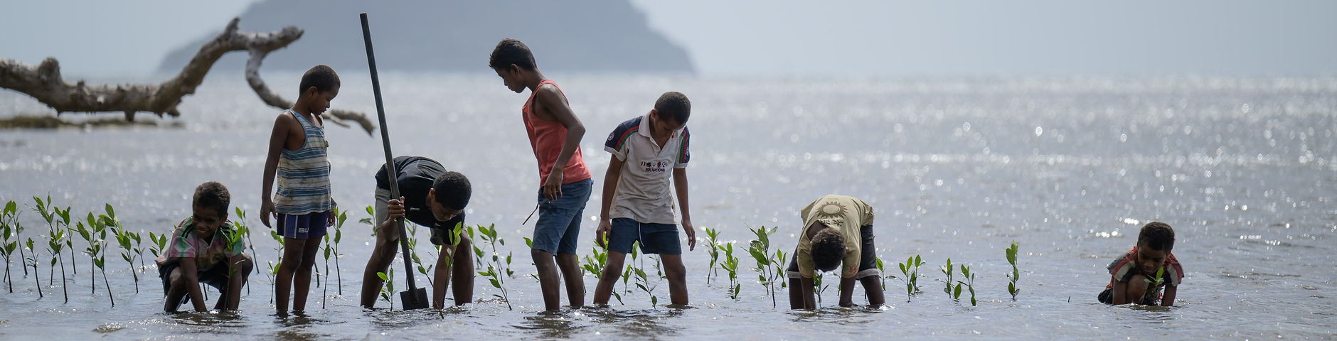 Youth representatives connect local conservation work with regional biodiversity priorities